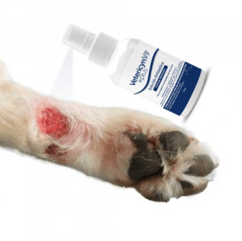 cura heridas en Spray solución antiséptica para perros, gatos, caballos, ganado vetericyn VF plus 14.42.32