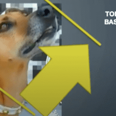 CÓMO ELEGIR TALLA PARA EL COLLAR ISABELINO ECOPROTEC PERROS Y GATOS