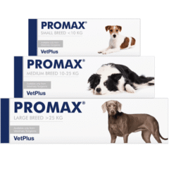 DIARREAS perros gatos conejos antidiarréico promax