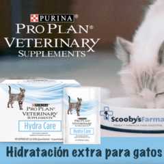 hidratación para gatos hydra care dilución de la orina en gatos hidratación extra