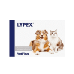 Problemas pancreáticos en perros y gatos con mal funcionaniento de páncreas lypex 60 cápsulas