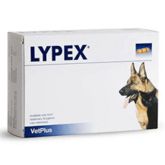 Problemas pancreáticos para perros y gatos con mal funcionaniento de páncreas lypex 60 cápsulas