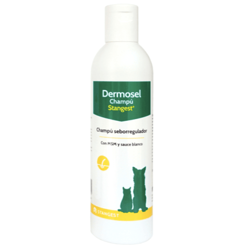 champú para seborrea perros y gatos dermosel champú stanvet 250 ml