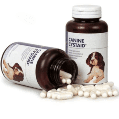 cistitis en perros cystaid perros canine cystaid 120 cápsulas