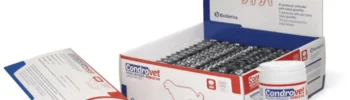 condroprotector para perros de raza grande condrovet razas grandes force HA comprimidos