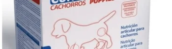condrovet cachorros 120 comprimidos nutrición articular