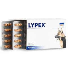 perros y gatos con mal funcionaniento de páncreas lypex 60 cápsulas