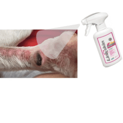 picores piel perros y gatos linkskin spray 200 ml refuerza la microbiota cutánea modo uso