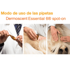 modo de uso de las pipetas para el cuidado de la piel dermoscent essential 6