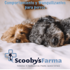 Multiva Calming perros medianos grandes Calmante perros 25 chews - Imagen 3
