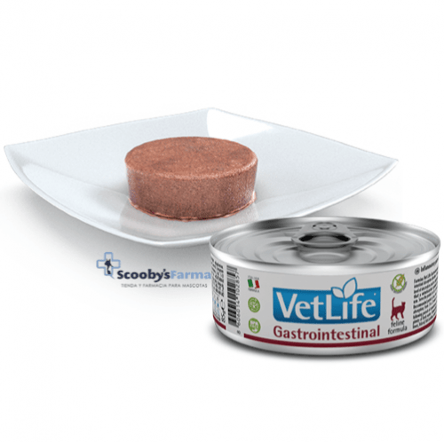 ALIMENTO GASTROINTESTINAL PARA GATOS FARMINA VET LIFE GASTROINTESTINAL GATOS 85 G ASPECTO