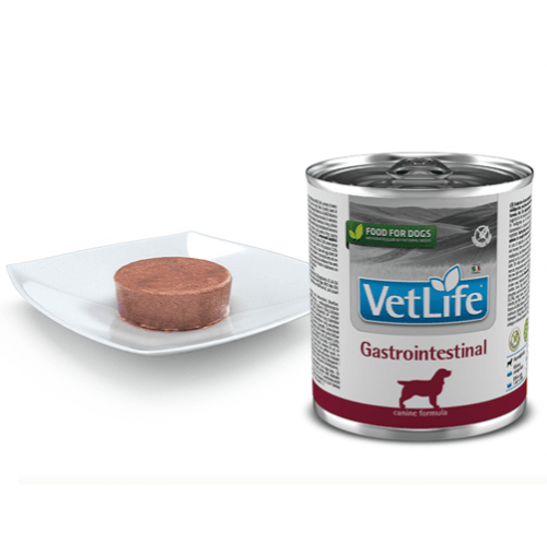 alimento húmedo gastrointestinal para perros farmina vet life gastrointestinal 300 g aspecto