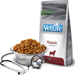 Pienso para perros insuficiencia hepática farmina vetlife hepatic perros aspecto