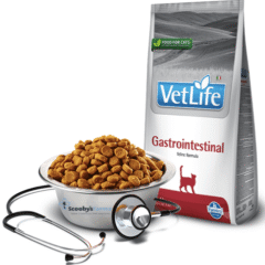 aspecto pienso gastrointestinal gatos farmina vetlife gastrointestinal gatos