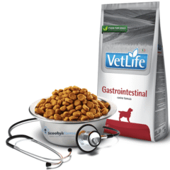 aspecto pienso gastrointestinal para perros farmina VetLife gastrointestinal perros