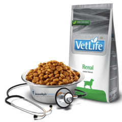 aspecto pienso renal para perros farminta vetlife renal perros