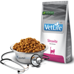 cálculos de estruvita y cistitis idiopática en gatos farmina vet life struvite gatos aspecto