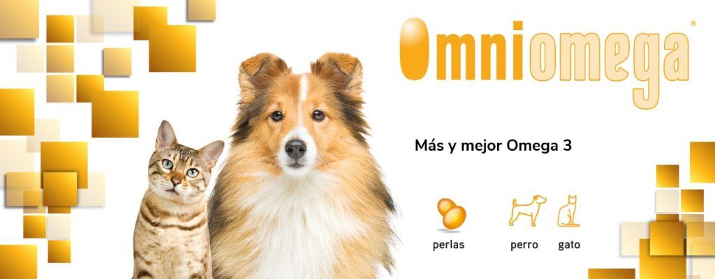 ScoobysFarma