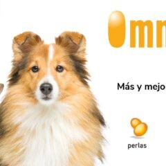 omega 3 perros y gatos nutracéutico omniomega cápsulas