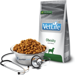 pienso para perros con sobrepeso farmina vetlife obesity perros diabetes mellitus aspecto