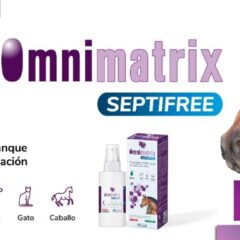 spray cicatrizante para perros gatos y caballos-2