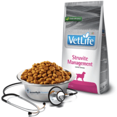 Recurrencia de la urolitiasis en perros cristales estruvita farmina struvita management vet life aspecto
