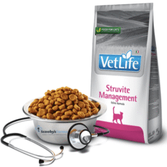 Recurrencia de urolitiasis y cistitis idiopática perros farmina vet life struvite management gatos aspecto