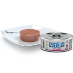 alimento húmedo gatos cristales estruvita y cistitis idiopática farmina vet life cat struvite 85 g aspecto