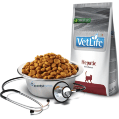 insuficiencia hepática crónica gatos farmina vetlife cat hepatic gatos aspecto