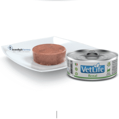 lata comida húmeda gatos con insuficiencia renal farmina vet life cat renal 85 g aspecto
