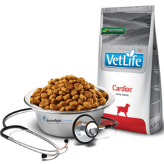 pienso para perros con insuficiencia cardíaca farmina vet life cardiac perros 2 kg aspecto