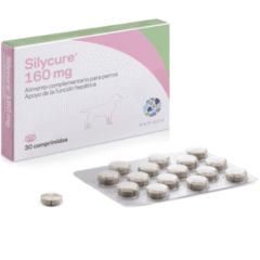 protector hepático apoyo hepático en perros y gatos silycure 160 mg 30 comprimidos
