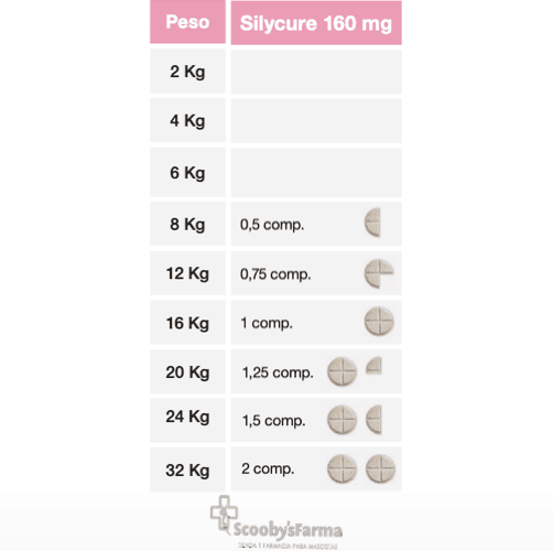 protector hepático apoyo hepático en perros y gatos silycure 160 mg 30 comprimidos dosificación