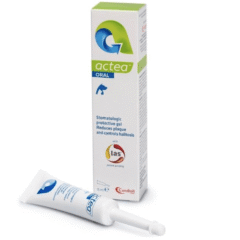 gingivitis perros y gatos actea oral pasta 15 ml
