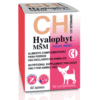 condroprotector perros raza mini hyalophyt msm 90 comprimidos