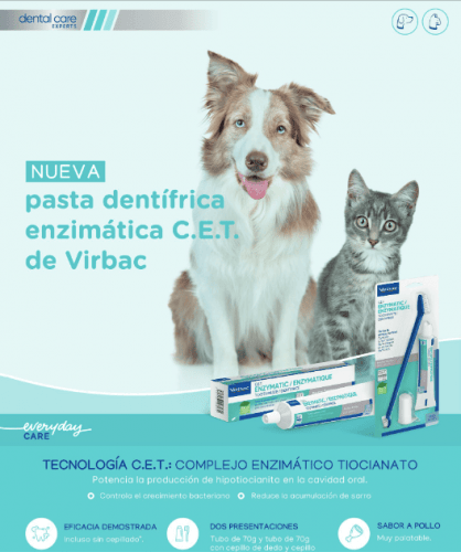 pasta dentrífica enzimática virbac, pasta de dientes enzimática para perrosy gato 70 g
