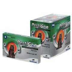 pipetas antiparasitarias para gatos fipronilo pestigon gatos