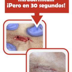 pegamento adhesivo cicatrizante perros gatos cicastick