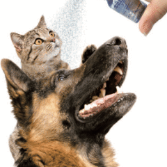 spray para los ojos de perros y gatos con ácido hialurónico Oftal HA nebulizador 25 ml