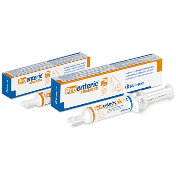 antidiarréico perros pro enteric advanced jeringa