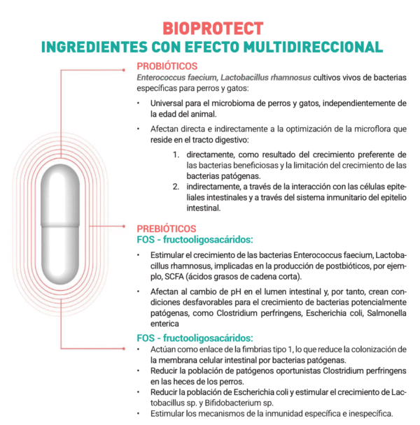 BioProtect ULTRA probióticos prebióticos postbióticos perros gatos 30 ...