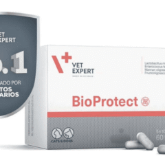 probióticos prebióticos perros gatos bioprotect 60 cápsulas