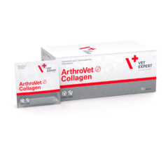 osteoartritis perros y gatos condroprotector Arthrovet collagen 60 sobres