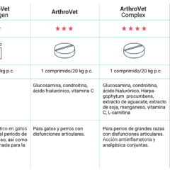 qué producto VetExpert usar para perros y gatos con dolor articular