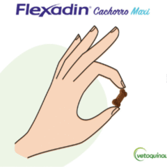 articulaciones cachorros flexadin cachorro maxi comprimidos masticables composición aspecto