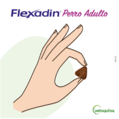 articulaciones perros adultos flexadin perros adultos comprimidos masticables aspecto