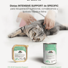 dietas para perros y gatos de recuperación en convalecencia specific intensive support