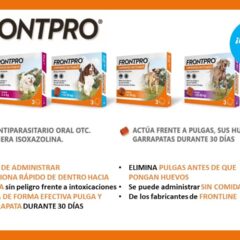 FRONTPRO comprimidos adaptados para todos los pesos del perro