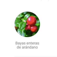 bayas enteras de arándano componente de dermoscent Uti-Zen confort urinario perros gatos