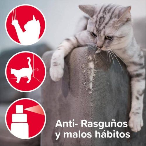 efectos del educador gatos keep off beaphar en spray